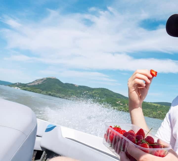 Visegrád: Private Cruise on the Danube River - Visegrád: Private Cruise on the Danube River – A Practical and Enjoyable Water Escape
