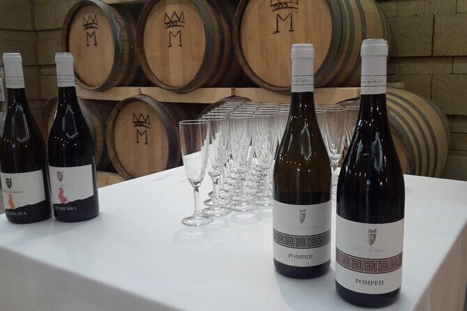 Visit 2 wine producers with tasting and transportation included - An In-Depth Look at the Experience