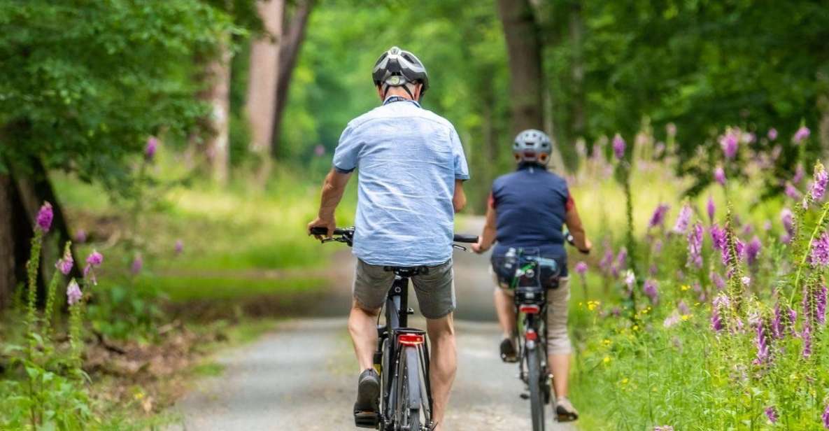 Visit a Village by E-Bike and Taste the Excellent Wine - Key Points