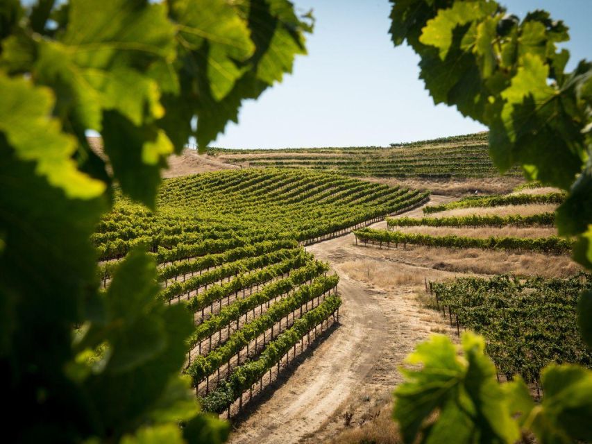 Visit a Village by E-Bike and Taste the Excellent Wine - Pricing and Duration