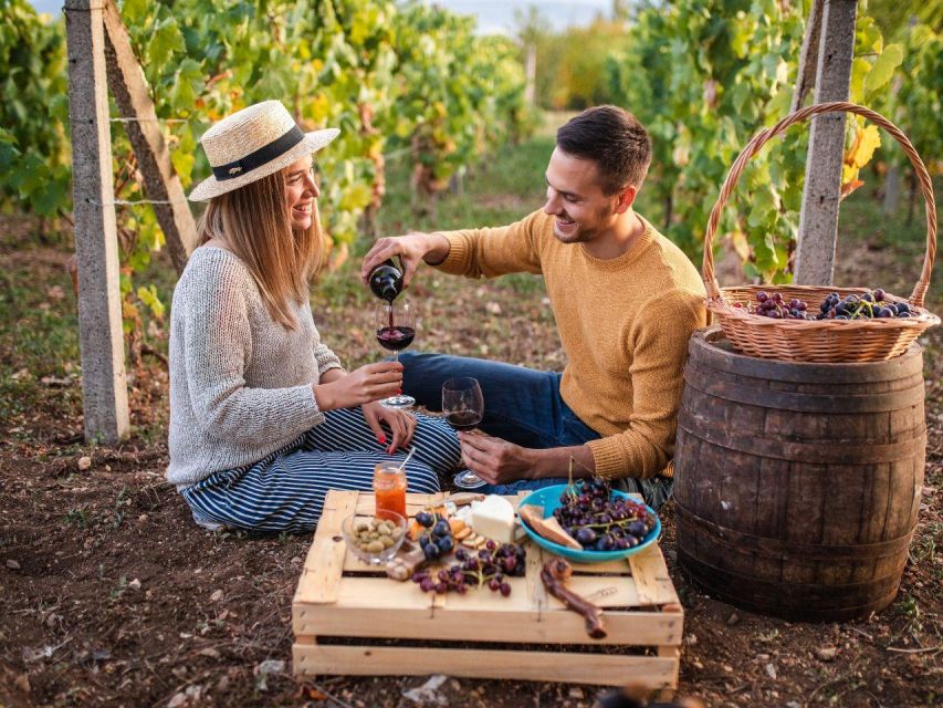 Visit a Village by E-Bike and Taste the Excellent Wine - Group Size and Languages