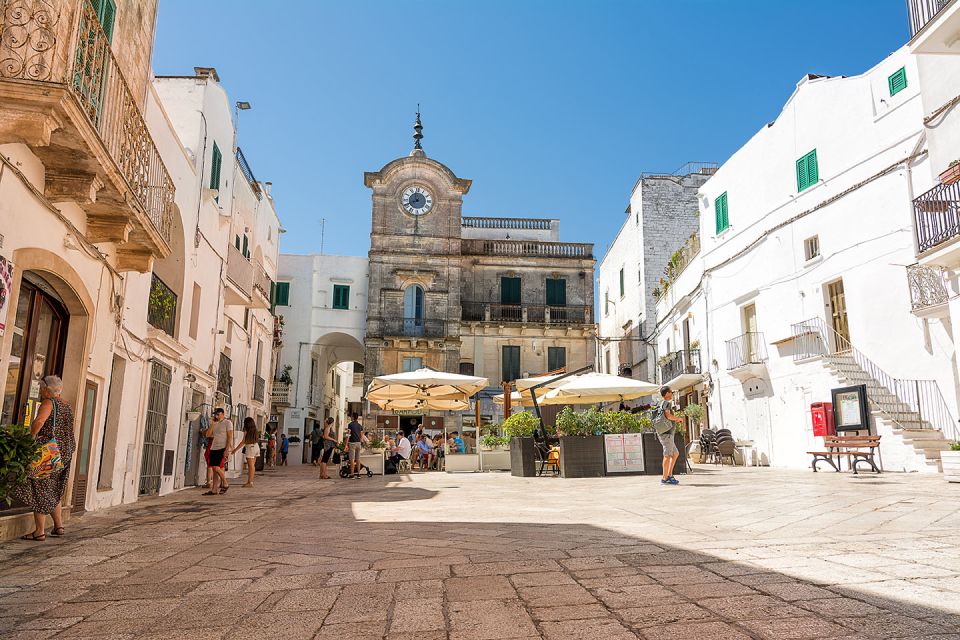 Visit a Winery and an Oil Mill in Cisternino - Olive Oil Extraction Process