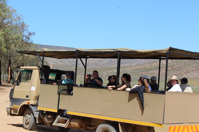 Visit African Big 5 Safari Aquila Game Reserve From Cape Town - Full Day - Frequently Asked Questions