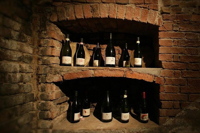 Visit Among Vineyards and Wine Cellar With Wine Tasting in Nizza Monferrato - Exploring the Winery and Vineyards