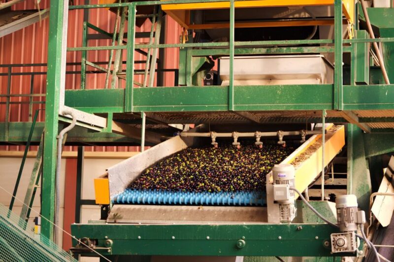 Visit an Olive Oil Mill + Extra Virgin Olive Oil Tasting: Baeza - EVOO Varieties and Characteristics