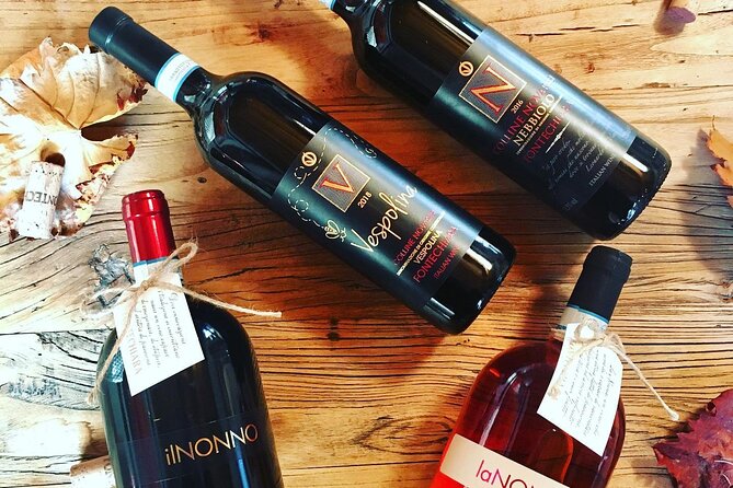 Visit and Tasting of 3 D.O.C. Wines Fontechiara - Comprehensive Reviews