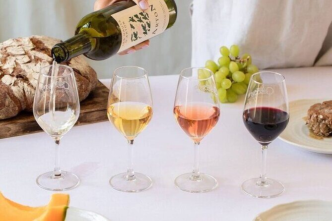 Visit and wine tasting: The Musketeers' wine - The Itinerary: What You Can Expect