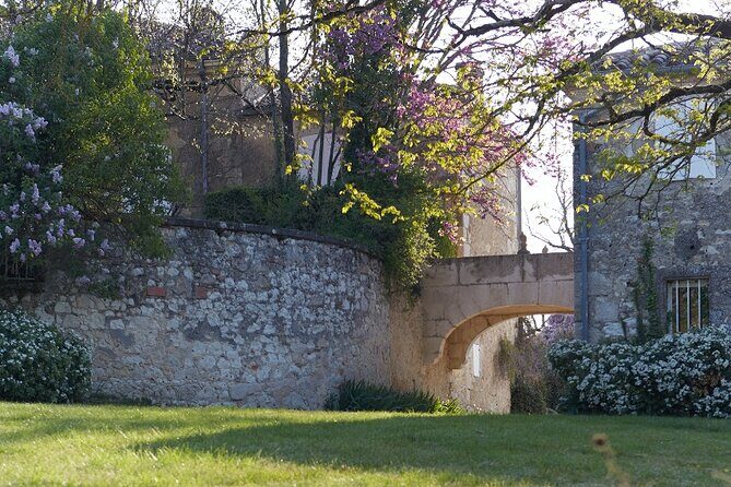 Visit and wine tasting: The Musketeers' wine - Sustainable and Innovative Practices