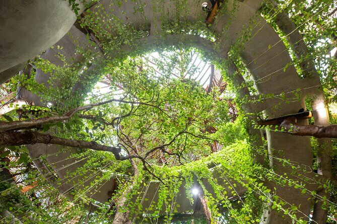 Visit AZULIK SFERIK Museum and Art Gallery in Francisco Uh May - A Closer Look at AZULIK SFERIK Museum and Art Gallery