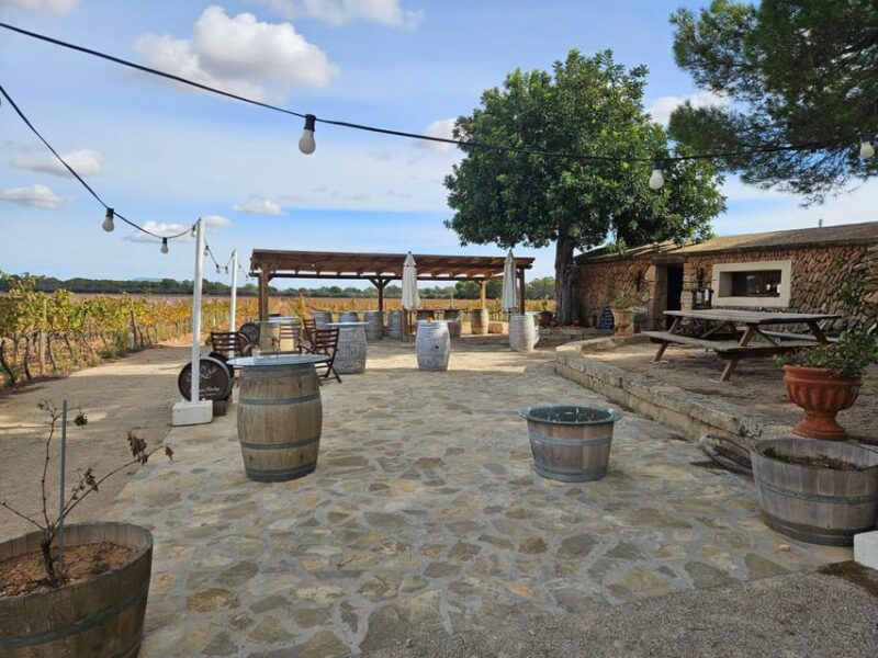 VISIT BODEGAS BORDOY, TASTING 5 WINES, FINGER FOOD - Key Points