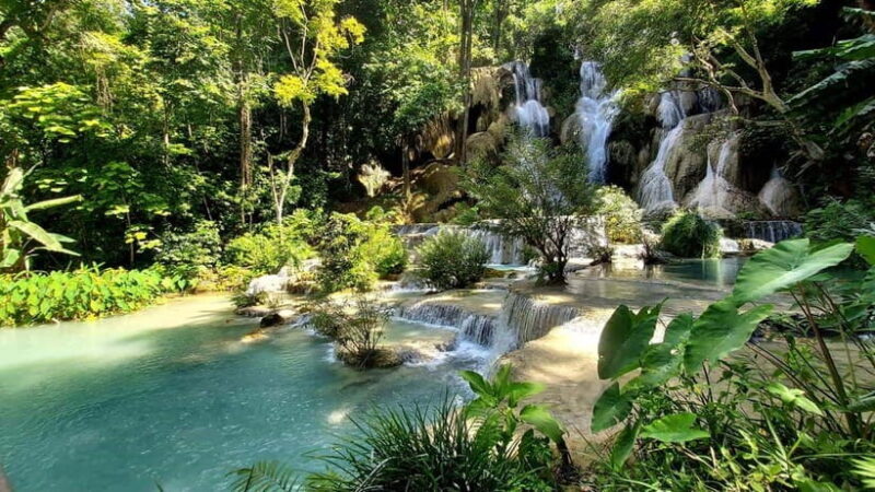 Visit buffalo farm, cooking-class forest, Kuang Si waterfall - Logistics & Practical Tips