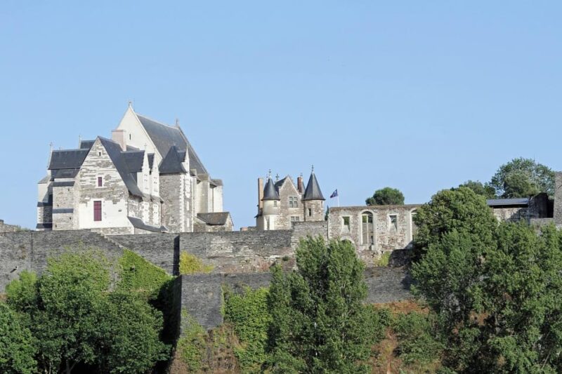 Visit Château D'angers and Wine Tasting - Château Dangers Tour