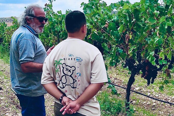 Visit Cuenca and a Vineyard in Spanish Tuscany from Madrid - In-Depth Look at the Cuenca and Vineyard Tour