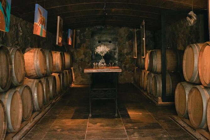 Visit El Enemigo Winery+Lunch Antigal Winery.Transfer Included - About Your Stay