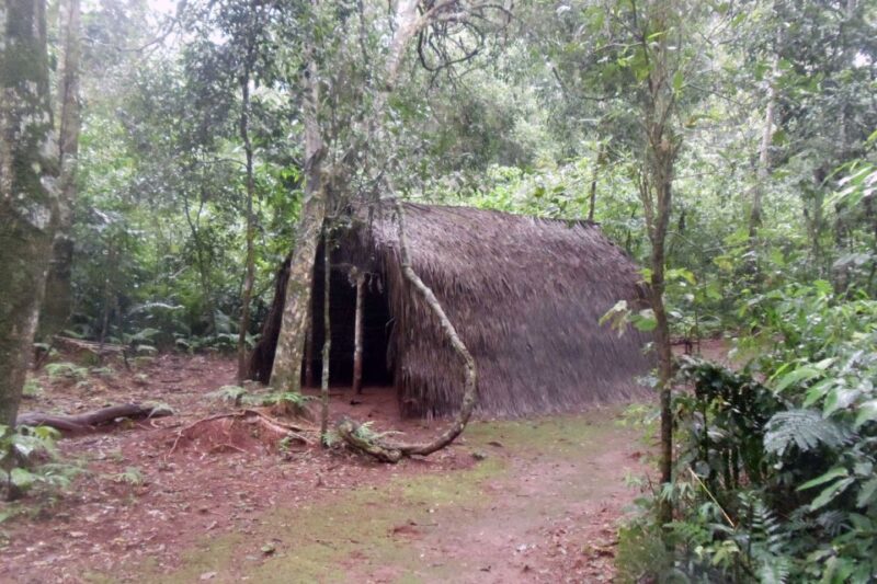 Visit Guarani Village at Mborore Fort With Brunch - Guided Jungle Walk