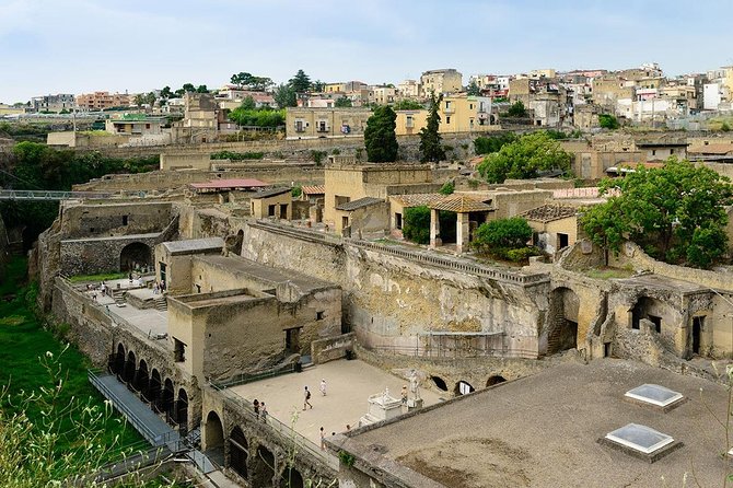 Visit Herculaneum With an Expert Professional Guide (2/3 Hours) - Tour Reviews
