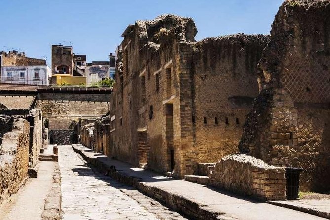 Visit Herculaneum With an Expert Professional Guide (2/3 Hours) - Expert Guides Knowledge