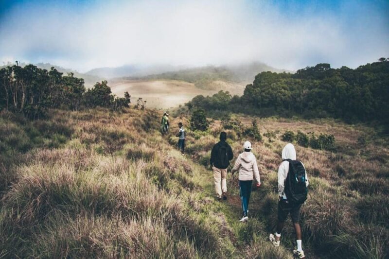 Visit Horton Plains & Scenic Train Ride From Ella - Scenic Train Ride