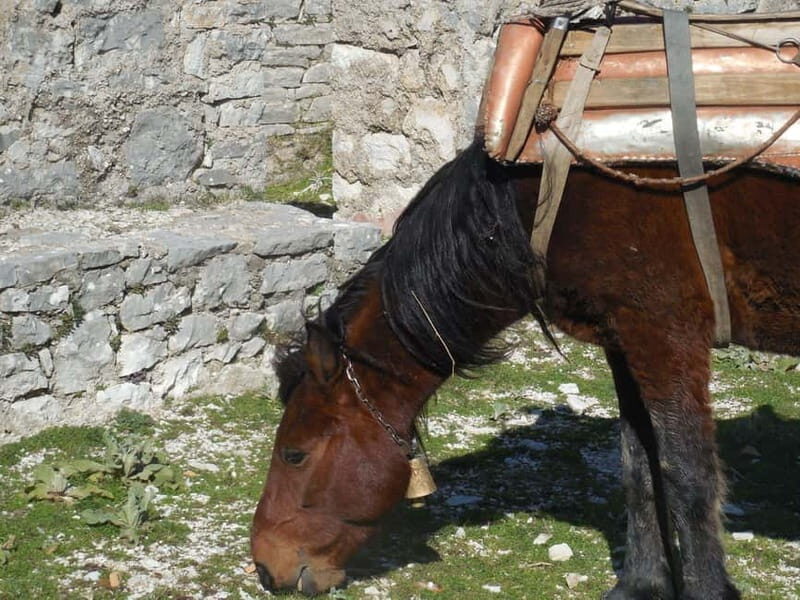 Visit Monastery of Mesopotam & Archaeological Park of Finiq - Exploring the Villages and Historic Sites