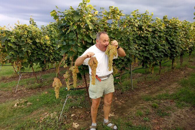 Visit of the Winemaker with Tasting of Typical Products in Faenza - An In-Depth Look at the Experience