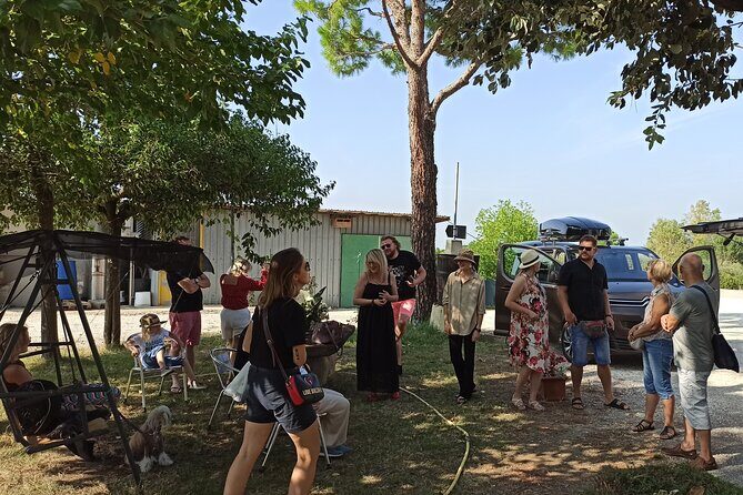 Visit of the Winemaker with Tasting of Typical Products in Faenza - The Sum Up: Why Choose This Tour?