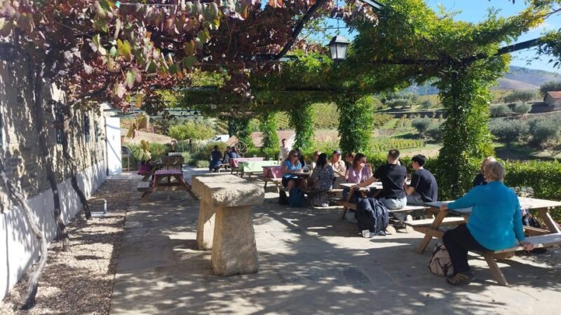 Visit Pinhão Visit and wine tasting Panoramic cruise - Who Should Consider This Tour?