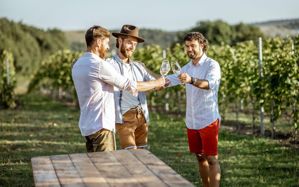 Visit Pompeii and Enjoy the Winery - Pompeii Site Guided Tour