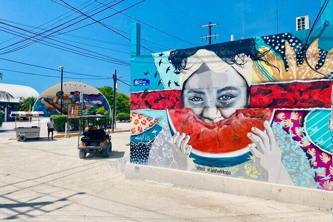 Visit Punta Mosquito in Holbox! From Cancun & Playa Del Carmen - Practical Tips for Future Travelers