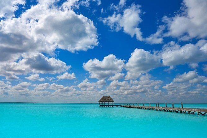 Visit Punta Mosquito in Holbox! From Cancun & Playa Del Carmen - The Sum Up