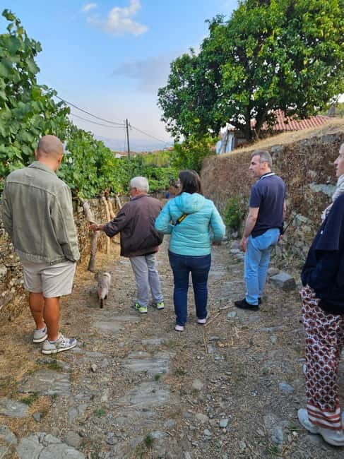 Visit Quinta de Sobre a Fonte with wine tasting and transportation - Exploring the Douro: A Detailed Look at the Quinta de Sobre a Fonte Tour