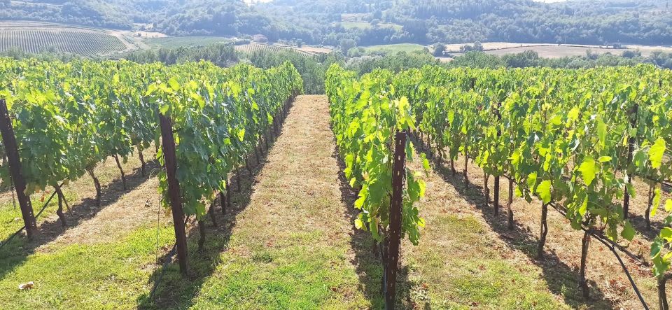 Visit Siena and San Gimignano With Lunch at a Family Farm - Key Points