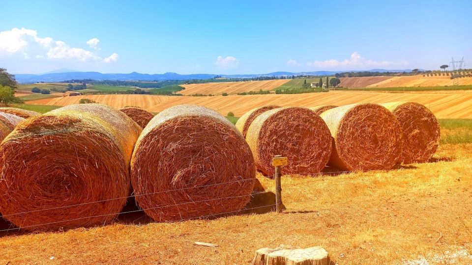 Visit Siena and San Gimignano With Lunch at a Family Farm - Explore Siena