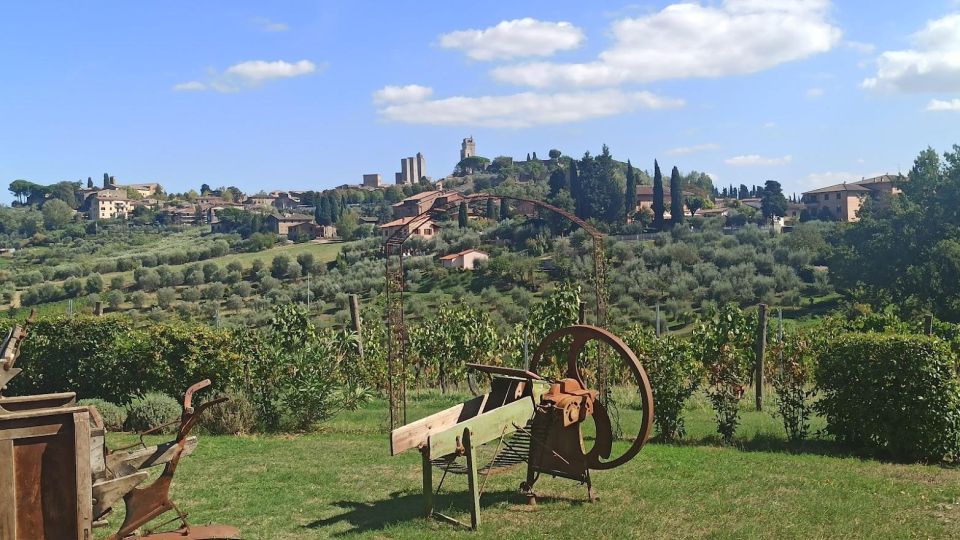 Visit Siena and San Gimignano With Lunch at a Family Farm - What to Expect
