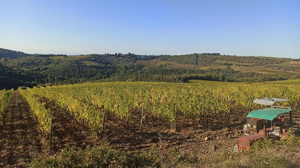 Visit Siena and San Gimignano With Lunch at a Family Farm - Frequently Asked Questions