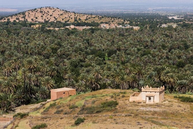 Visit Taroudant and Tiout 1 Day From Agadir - Tips for a Great Trip