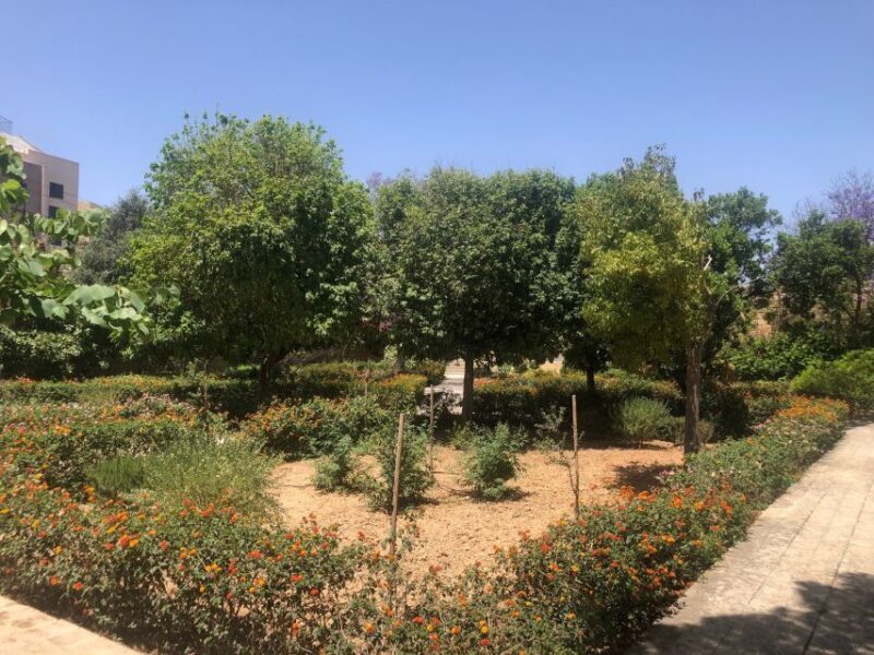 Visit Tarxien Temples, Kalanka Bay, Blue Grotto, Marsaxlokk - An In-Depth Look at the Tour