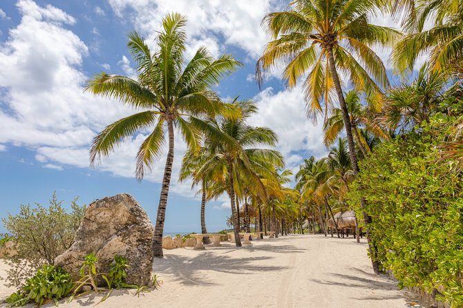 Visit the Mexican Caribbean and live the amazing experience with 3 ECO PARKS - Final Thoughts: Who Should Consider This Tour?