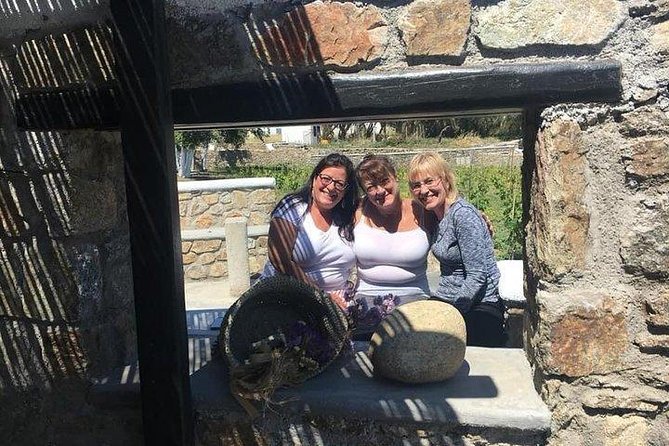 Visit the Mykonian Farm in Mykonos - General Overview