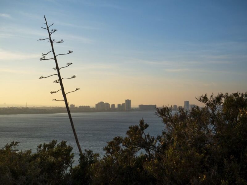 Visit the Palos Faro - Reservation and Cancellation