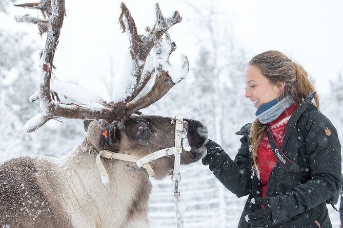 Visit the Sami and Reindeer in a Day Trip from Abisko - Introduction to the Sami Culture at Nutti Sámi Siida