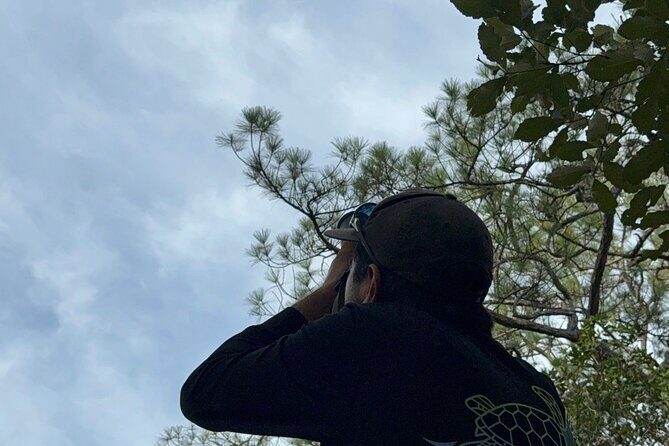 Visit the Sanctuary of the Guacamayas in free life - Why This Tour Offers Good Value