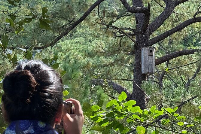 Visit the Sanctuary of the Guacamayas in free life - Who Should Consider This Tour?