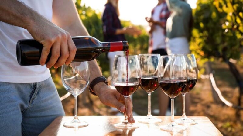 Visit the Vineyards and Discover Bandol Wines - Pricing and Booking