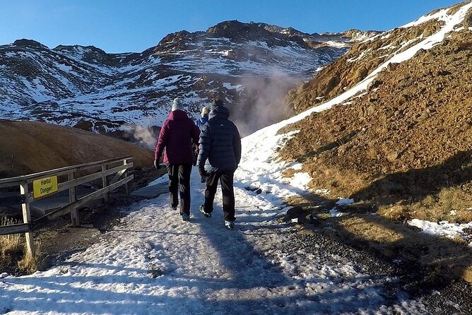 Visit the Volcanoes - Half Day Private Tour - up to 9 Passengers - Exclusions