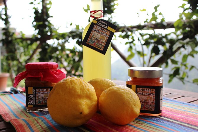 Visit to a Lemon Grove on the Amalfi Coast With Tasting - The Sum Up
