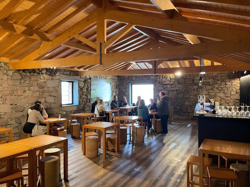 Visit to a Port Wine Cellar - Exploring a Port Wine Cellar: A Balanced Look at a Portugal Classic
