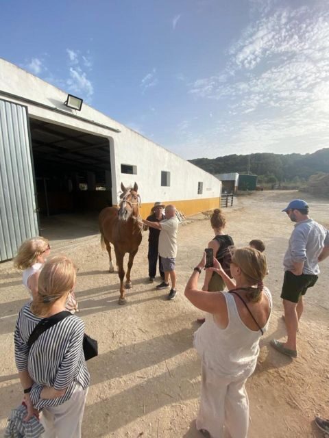 Visit to Angostura Stud + Wine - What to Expect on Your Visit
