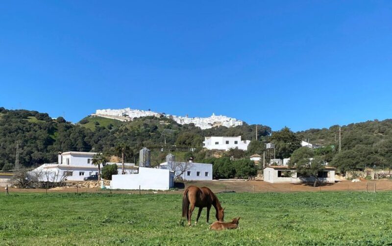 Visit to Angostura Stud + Wine - Is It Worth the Price?