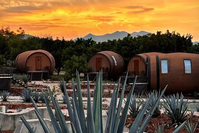 Visit to Matices Hotel de Barricas in Tequila Jalisco - Who Should Consider This Tour?