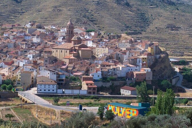 Visit to olive grove and olive mill with oil tasting and tasting - Additional Details: Practicalities and Value